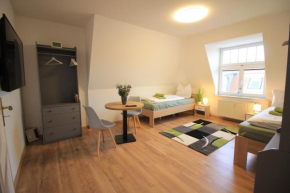 ARA Monteurzimmer Ferienwohnung Zentrumsnah KesselsdorferStr